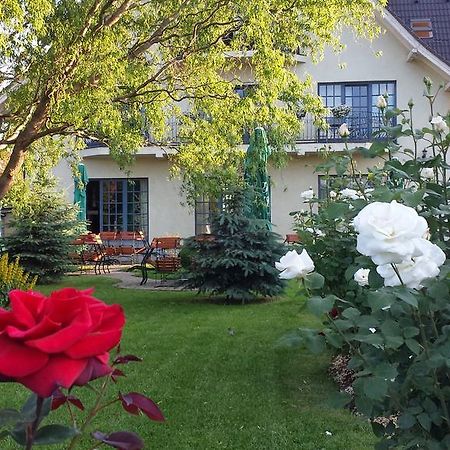 Villa Westfalia Guest House Tîrgu Secuiesc Eksteriør bilde